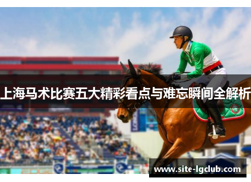 上海马术比赛五大精彩看点与难忘瞬间全解析
