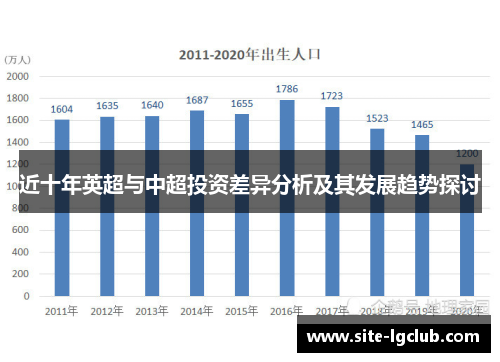 近十年英超与中超投资差异分析及其发展趋势探讨