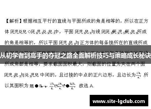 从初学者到高手的夺冠之路全面解析技巧与策略成长秘诀