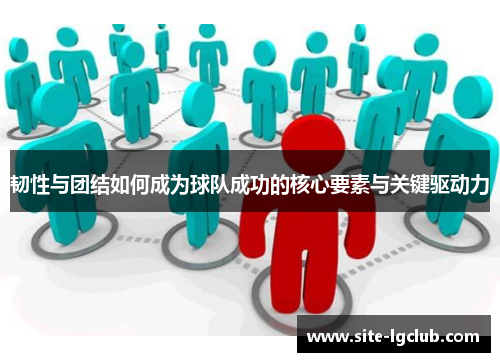 韧性与团结如何成为球队成功的核心要素与关键驱动力