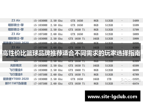 高性价比篮球品牌推荐适合不同需求的玩家选择指南